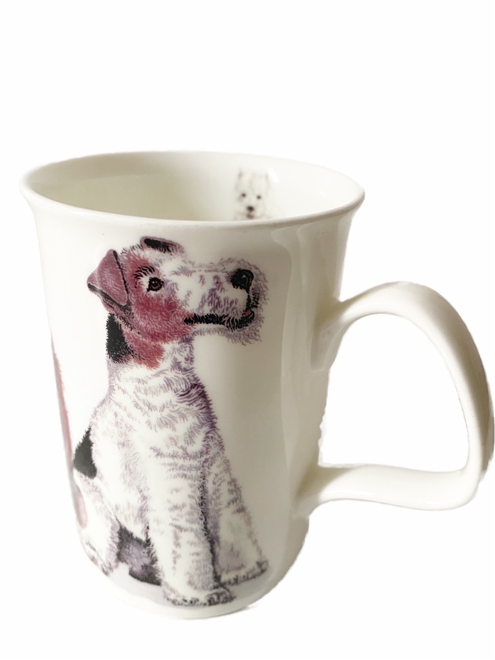 Fine Bone China Dogs Galore Terriers Mug Cup